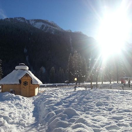 Hotel Stella Alpina Falcade Eksteriør bilde