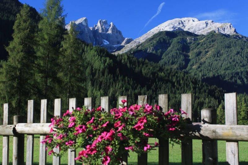 Hotel Stella Alpina Falcade Eksteriør bilde