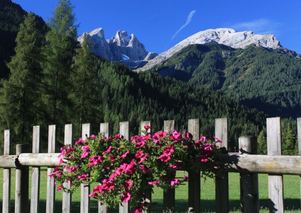 Hotel Stella Alpina Falcade Eksteriør bilde