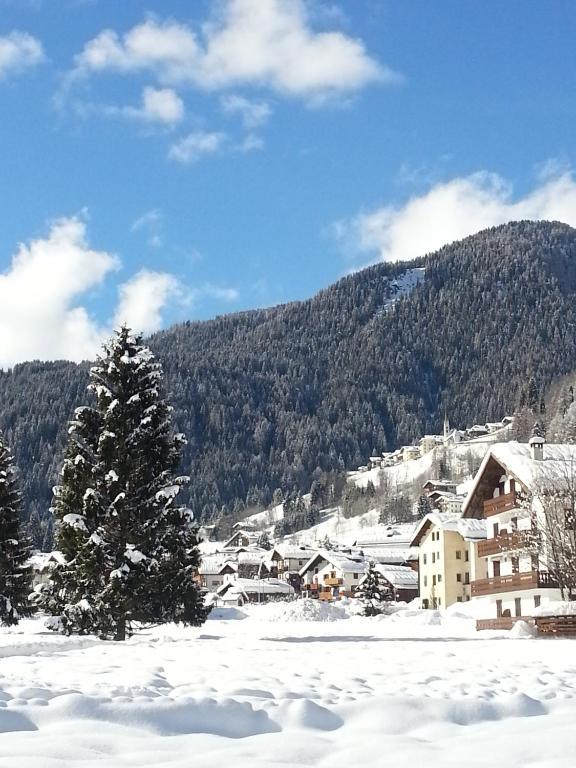 Hotel Stella Alpina Falcade Eksteriør bilde